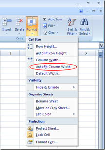 Autofit Column Widths And Row Heights In Excel Florida Institute Of Cpas